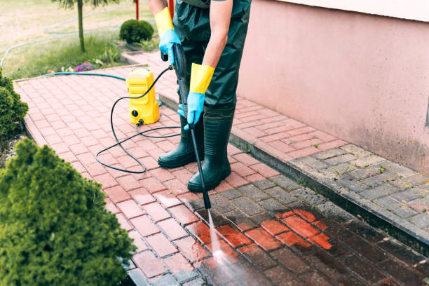 Best Building Exterior Washing  in Valley Falls, SC